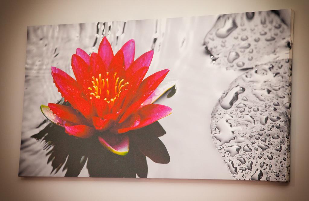 ナポリ Domus Armenio Bed & Breakfast 部屋 写真